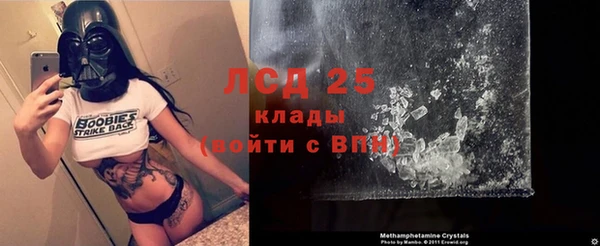 ПСИЛОЦИБИНОВЫЕ ГРИБЫ Арсеньев