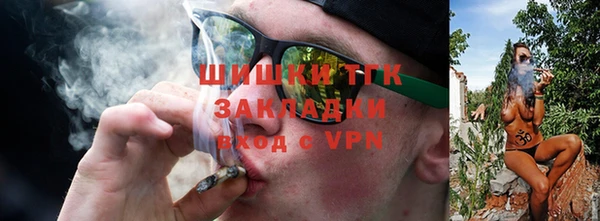 ПСИЛОЦИБИНОВЫЕ ГРИБЫ Арсеньев